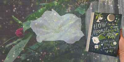 How to be a Moonflower by Katie Daisy - review