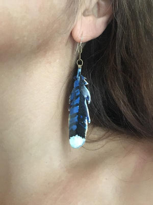 Blue Jay Feather earrings - Nora Catherine