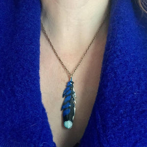 Blue Jay Feather necklace - Nora Catherine